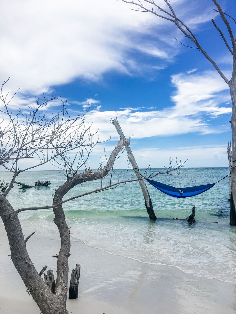 Hammock at Greer Island
