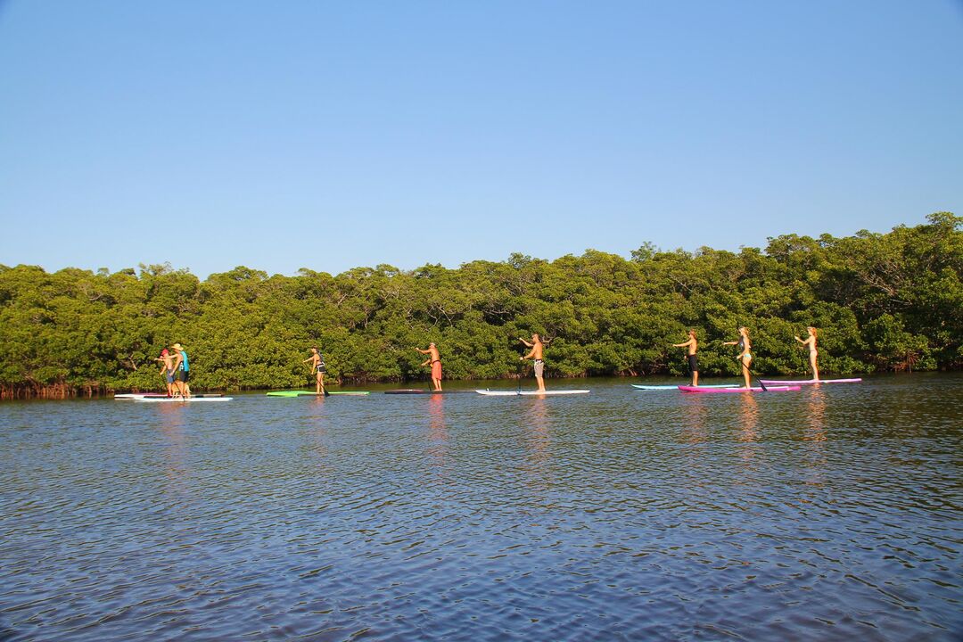 Stand Up Paddleboarding