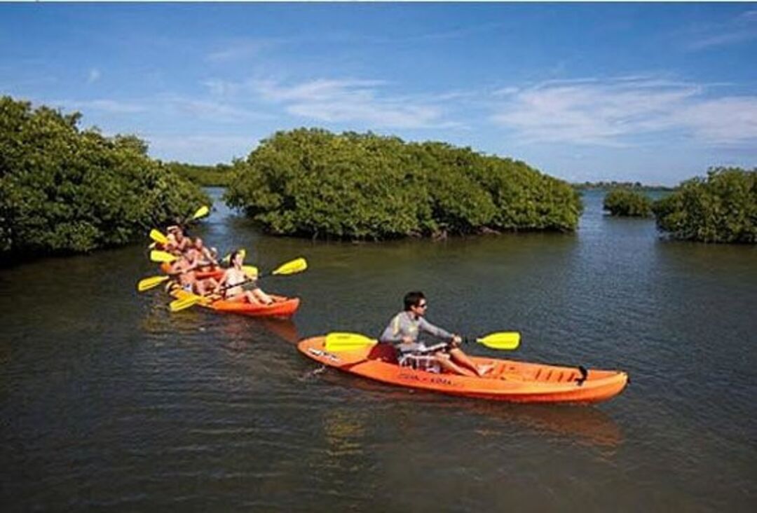 Kayak Tour