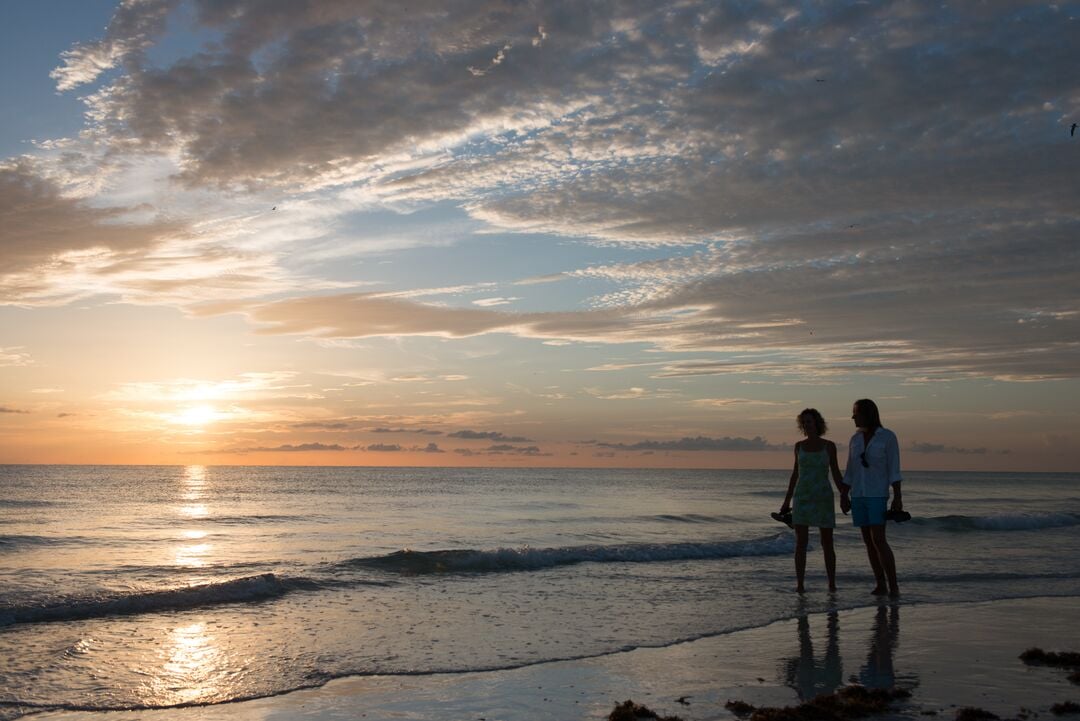 Stroll During Sunset