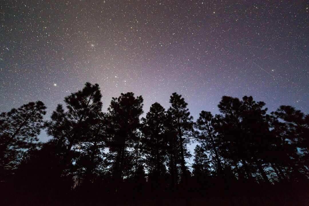 Kaibab National Forest