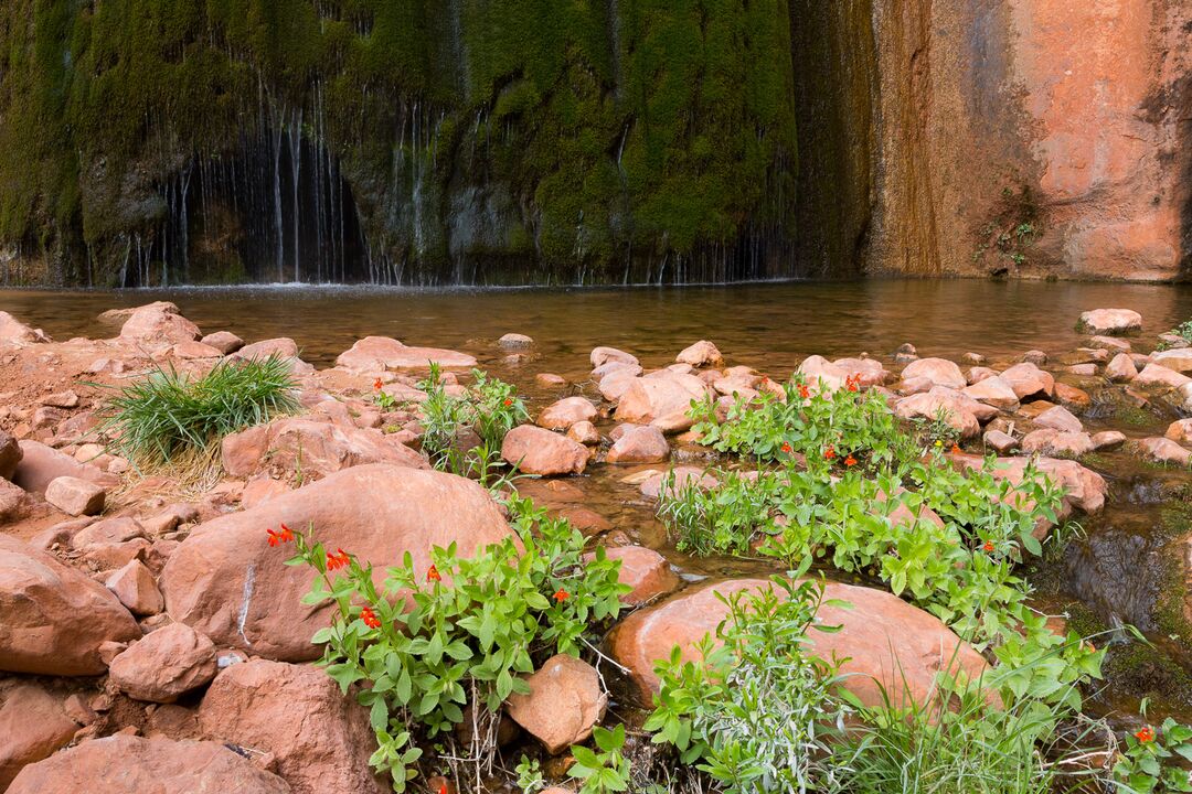 Grand Canyon National Park