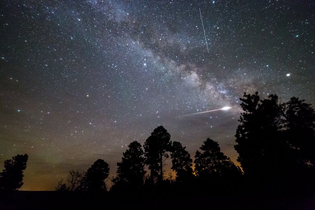 Kaibab National Forest