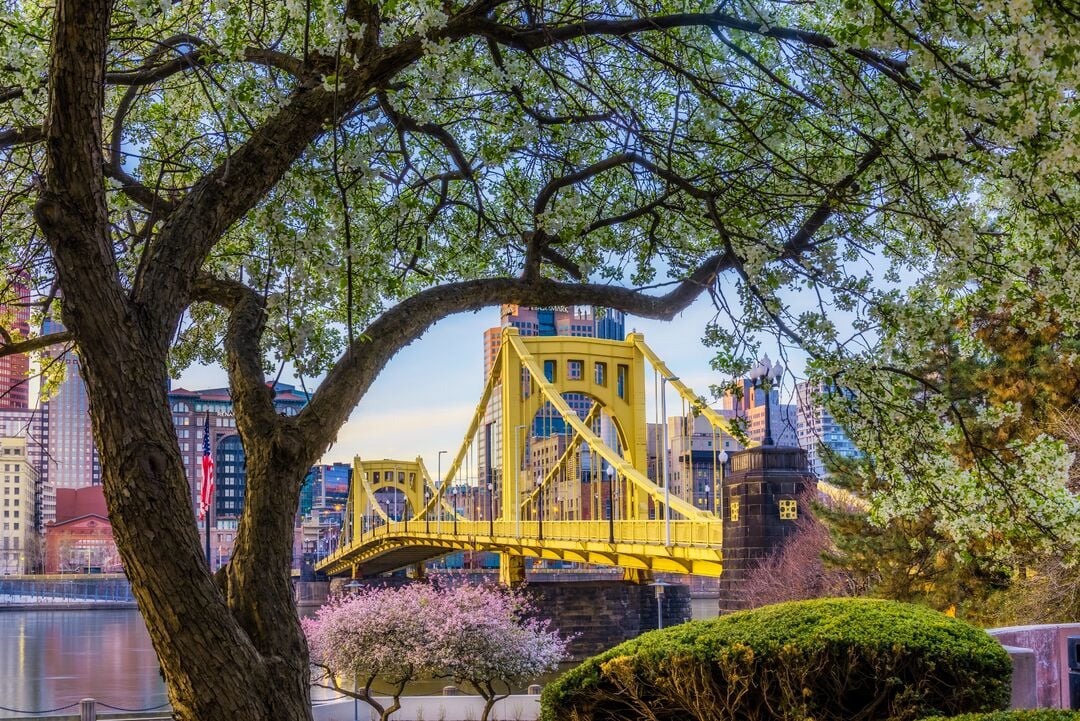 Clemente Bridge Pittsburgh Spring credit Dave DiCello