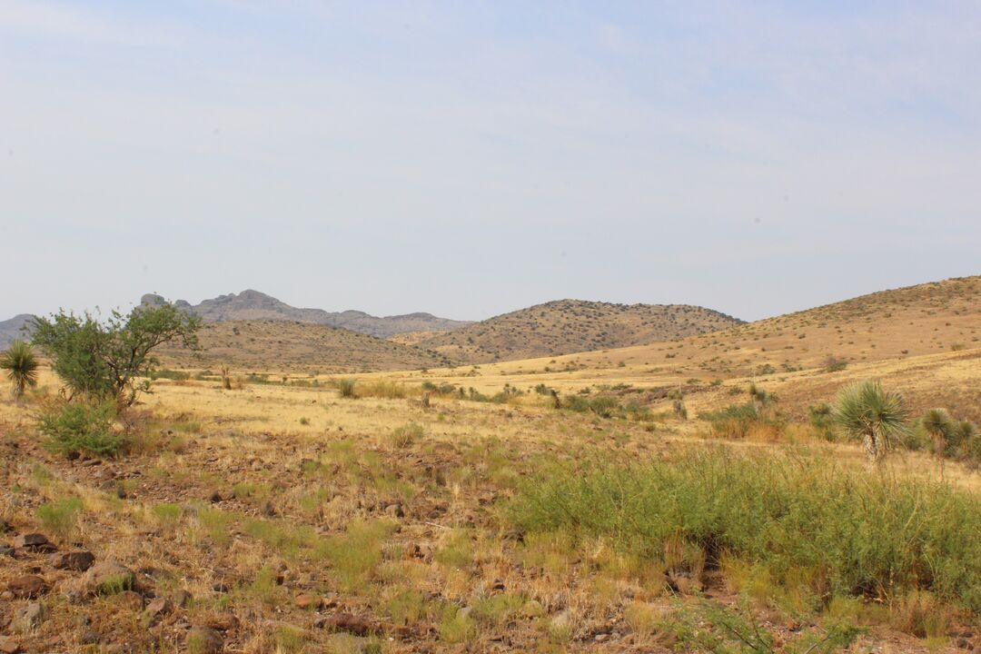 Round Mountain Rockhound Area