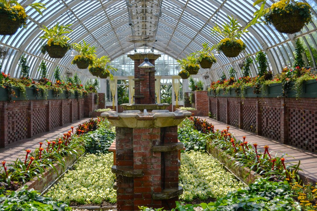 Phipps Conservatory_credit Jin Wu (39)