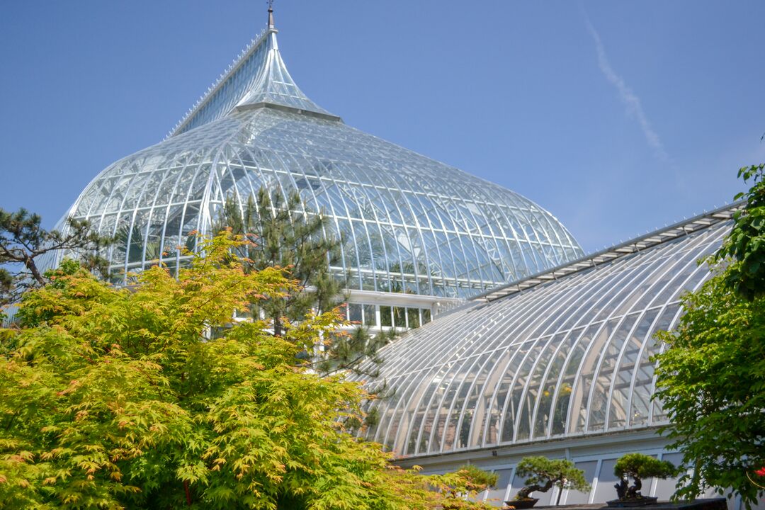 Phipps Conservatory_credit Jin Wu (30)