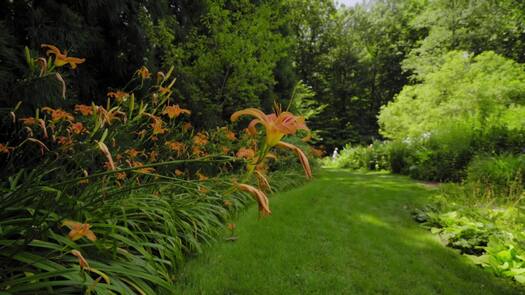 Chanticleer Garden