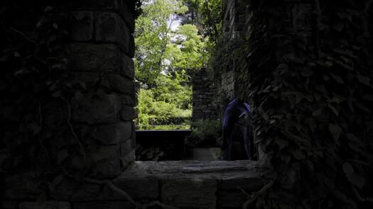 Chanticleer Garden