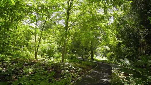 Chanticleer Garden