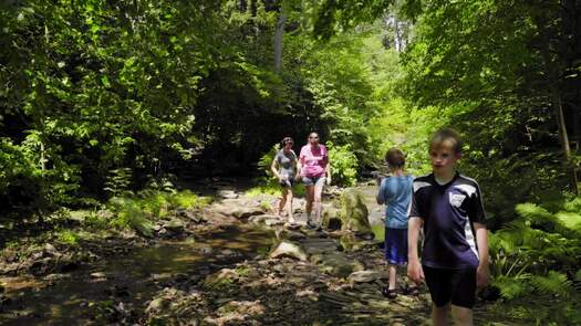 Chanticleer Garden