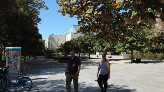 The Barnes Foundation