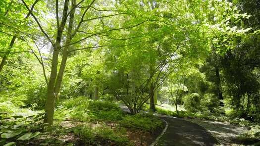 Chanticleer Garden