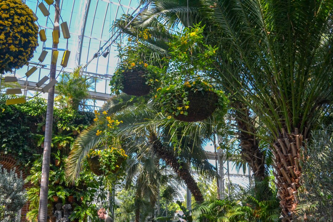 Phipps Conservatory_credit Jin Wu (9)