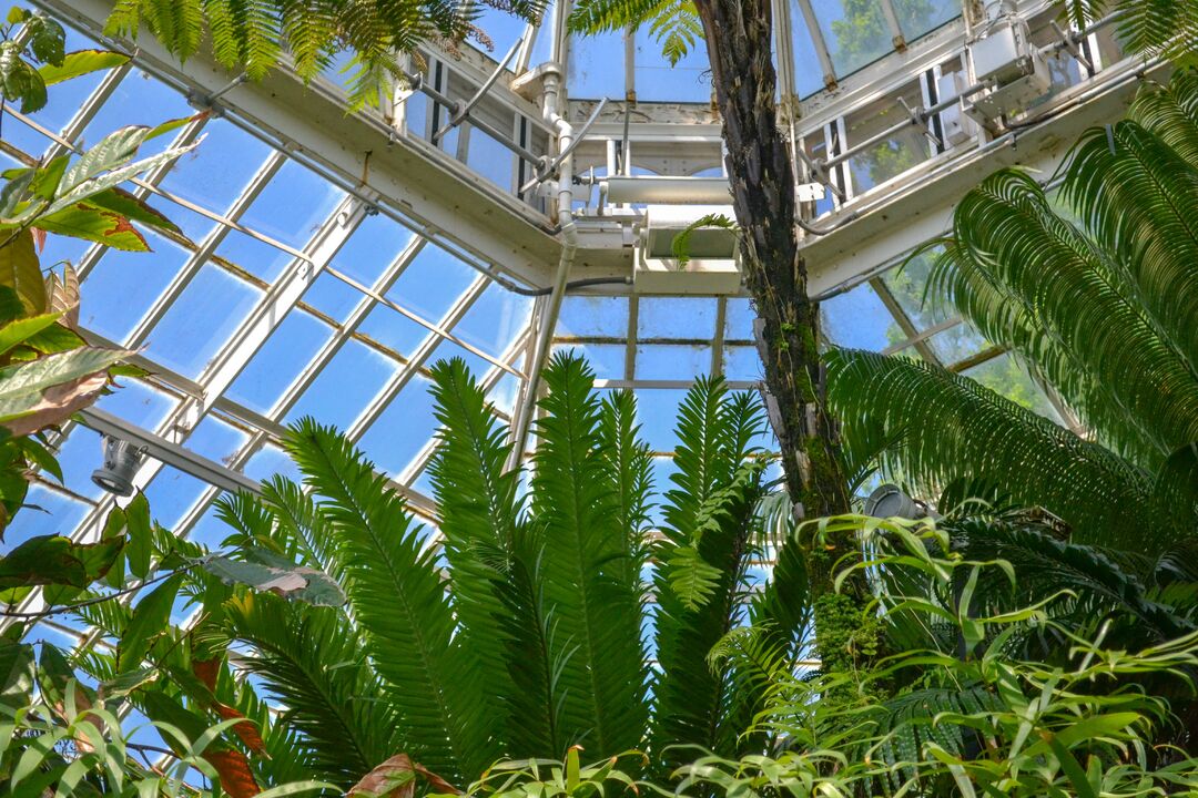 Phipps Conservatory_credit Jin Wu (40)