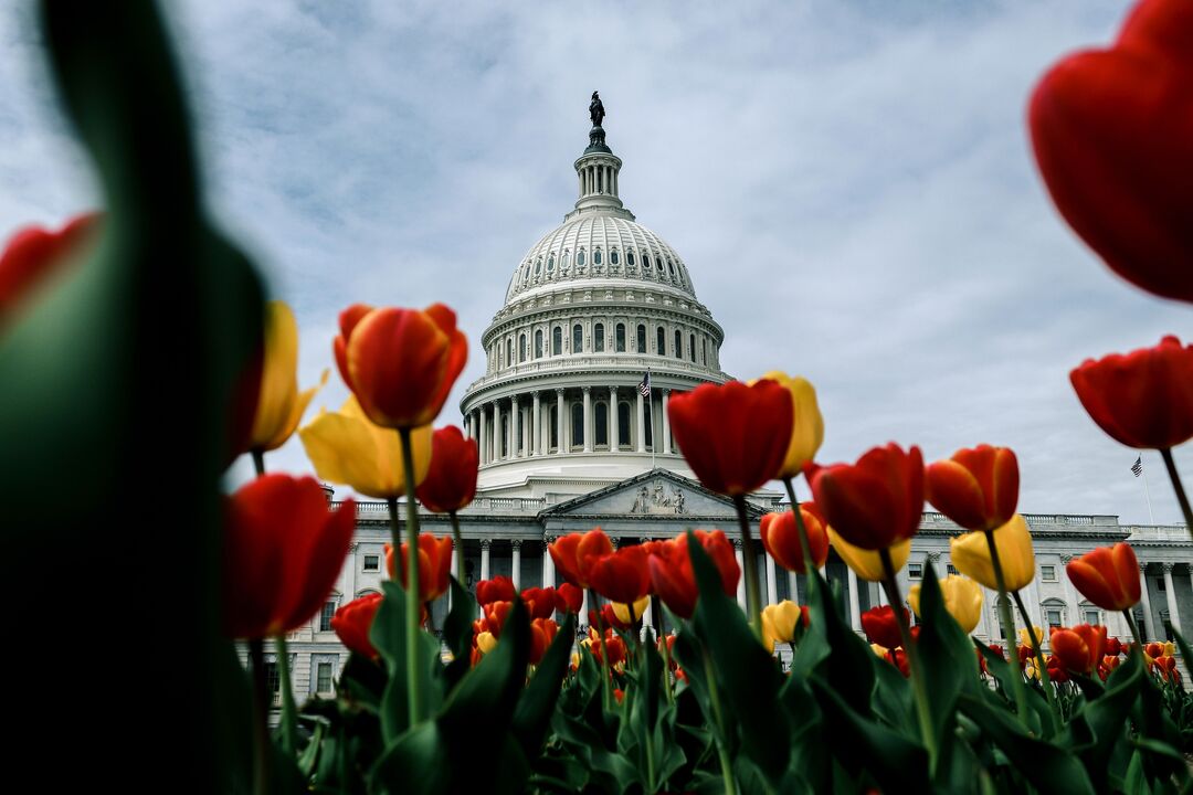 RNS-US-Capitol1 010621