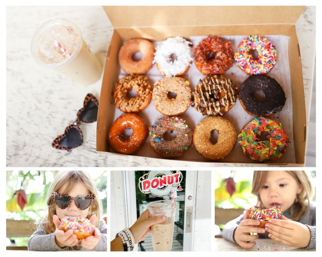 The Donut Experiment - The Gray Ruby Diaries