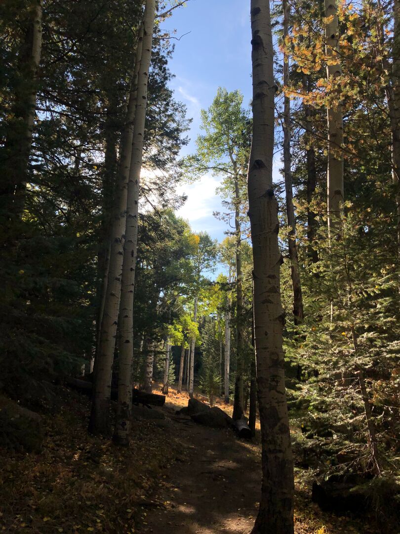 Kachina Trail Flagstaff