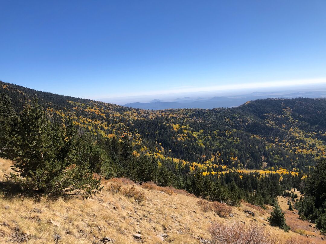 Weatherford Trail Flagstaff