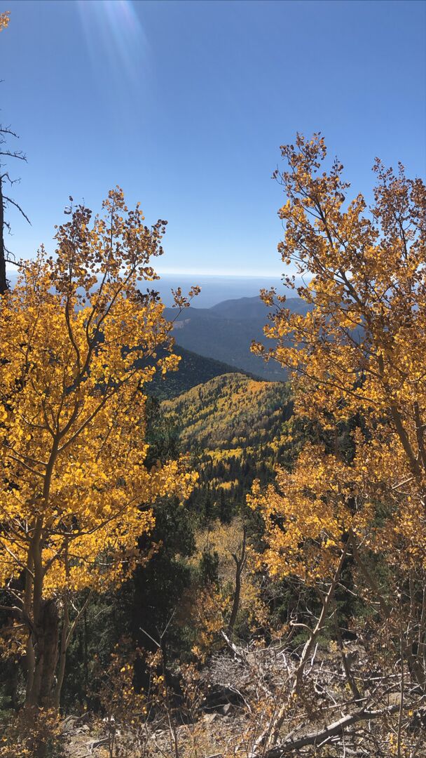 Weatherford Trail Flagstaff