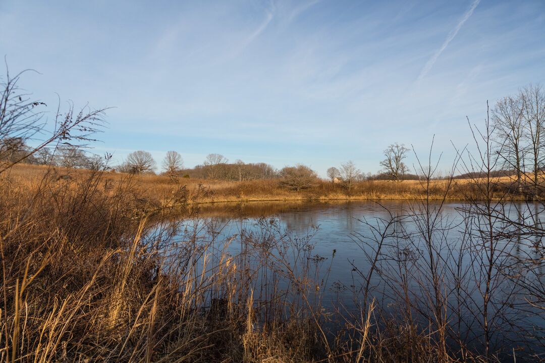 Longwood Gardens Winter