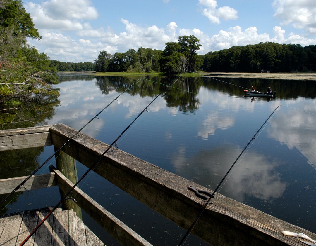 Lake Townsen Park (8)