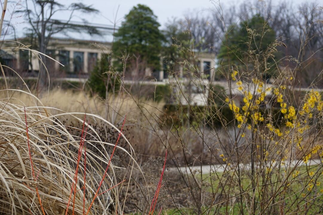Longwood Gardens Winter