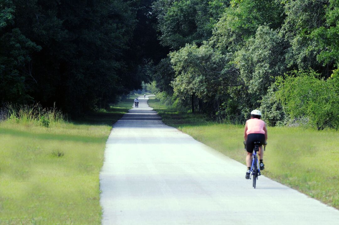 rider on wsf trail