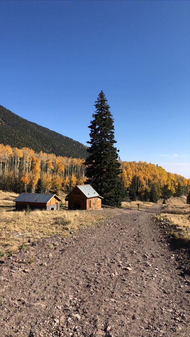 Inner Basin Flagstaff