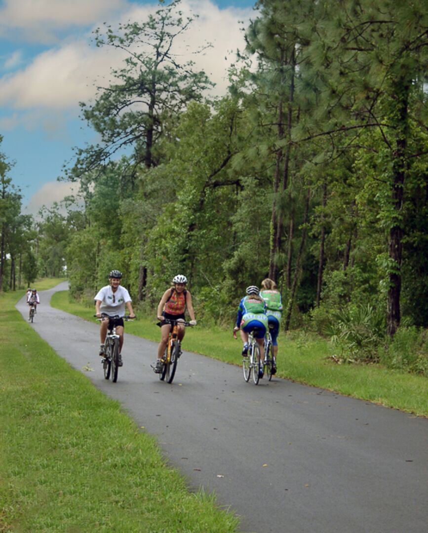 Suncoast Trail