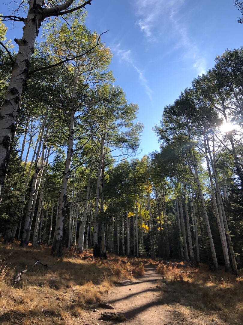 Kachina Trail Flagstaff