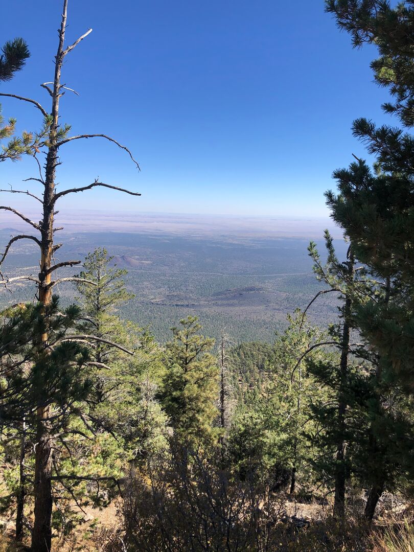 O'Leary Peak Trail Flagstaff