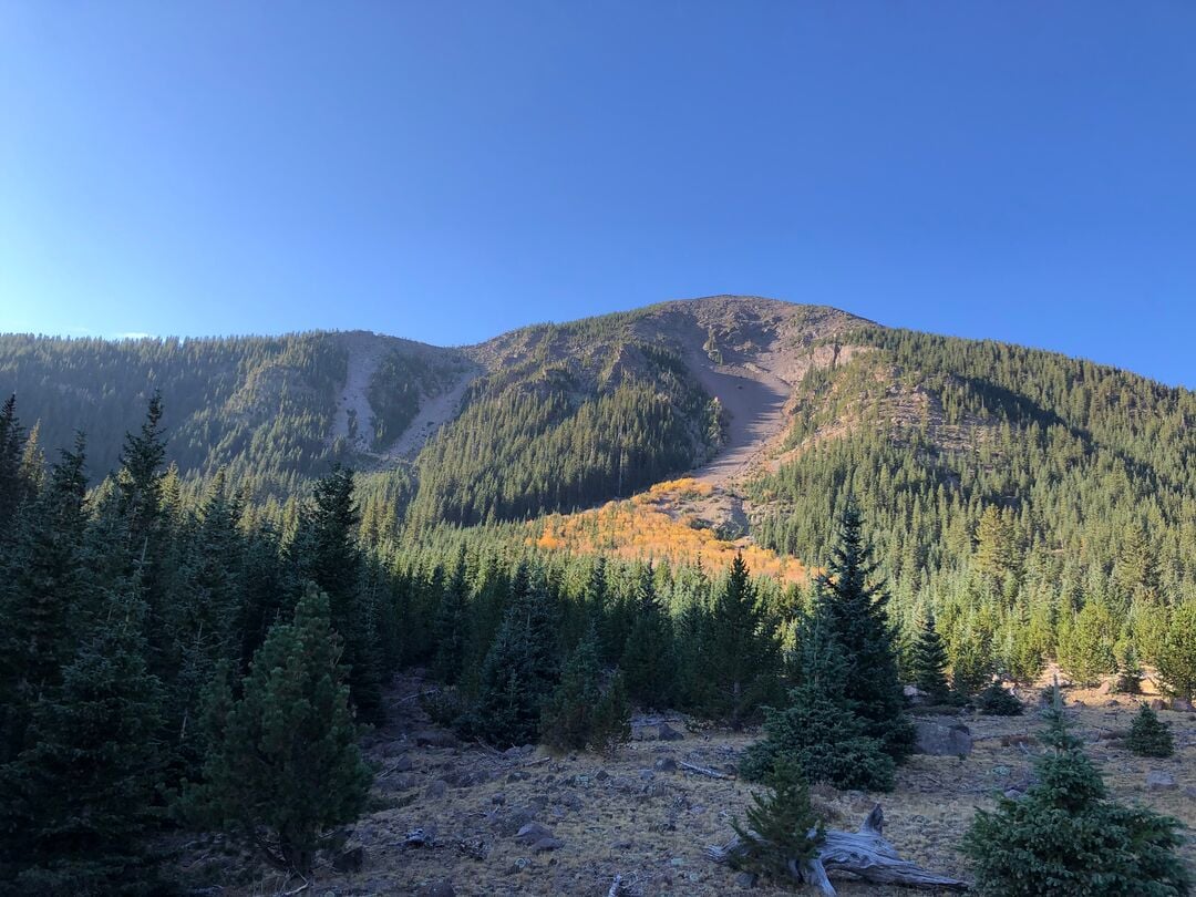 Inner Basin Flagstaff