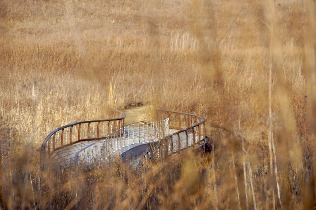 Longwood Gardens Winter