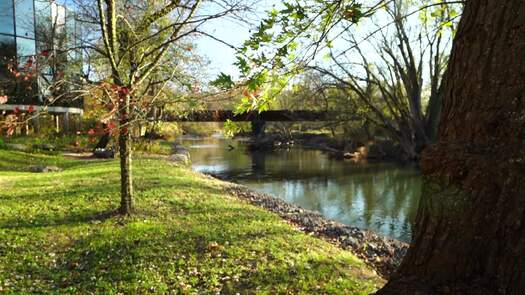 Brandywine River Museum of Art