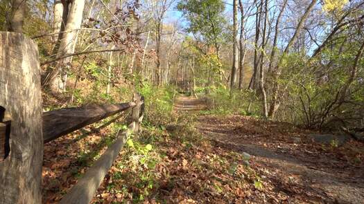 Wissahickon