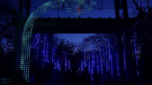 Luminature at the Zoo