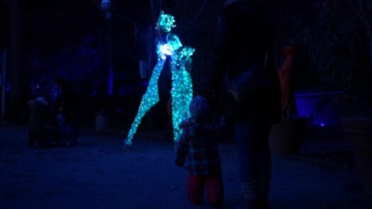 Luminature at the Zoo