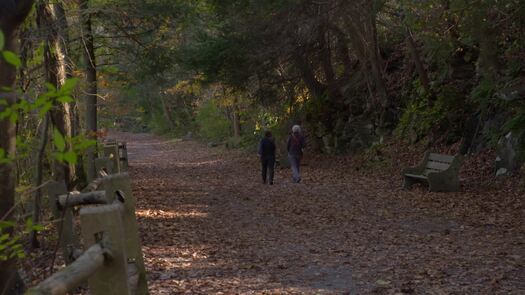 Wissahickon