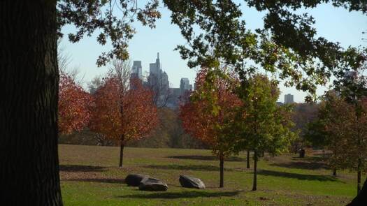 Belmont Plateau