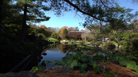 Shofuso Japanese Garden