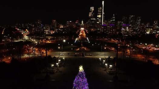 Christmas Tree at Philadelphia Museum of Art