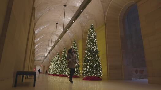 Philadelphia Museum of Art Christmas