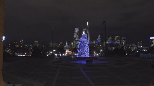 Philadelphia Museum of Art Christmas