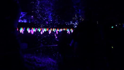 Luminature at the Zoo