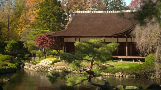 Shofuso Japanese Garden