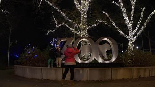 Luminature at the Zoo