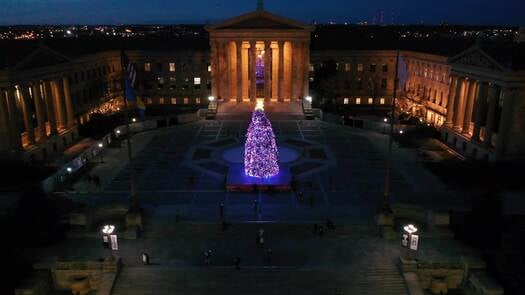 Christmas Tree at Philadelphia Museum of Art