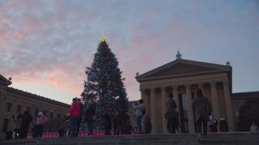 Philadelphia Museum of Art Christmas