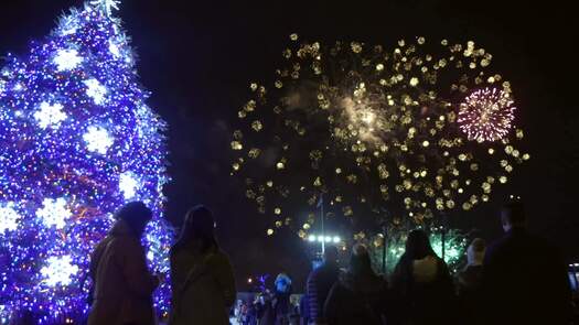 New Years Eve fireworks on the waterfront